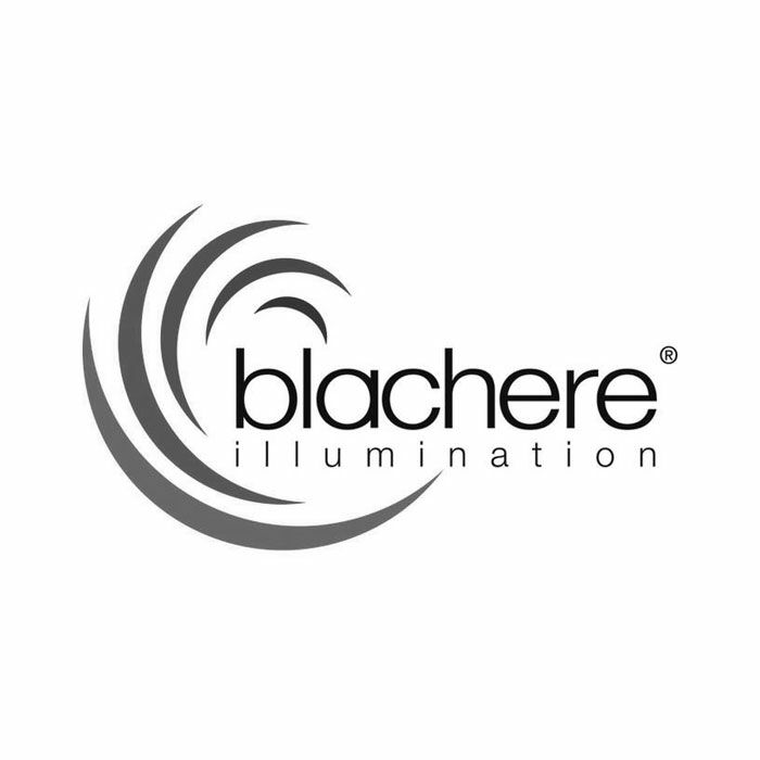 Logo blachere