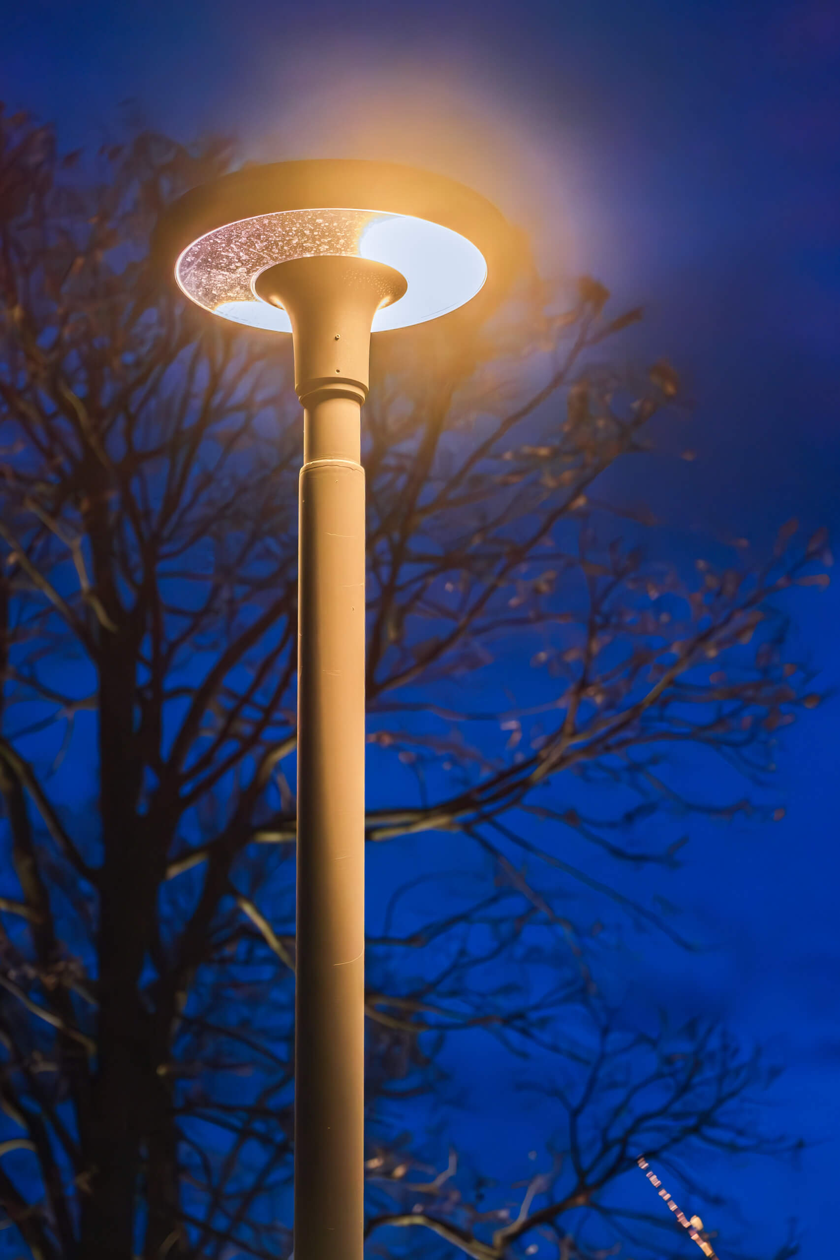Moderne Außenleuchte beleuchtet dunklen Nachthimmel mit Baum silhouette – Lichtplanung von Illumina.