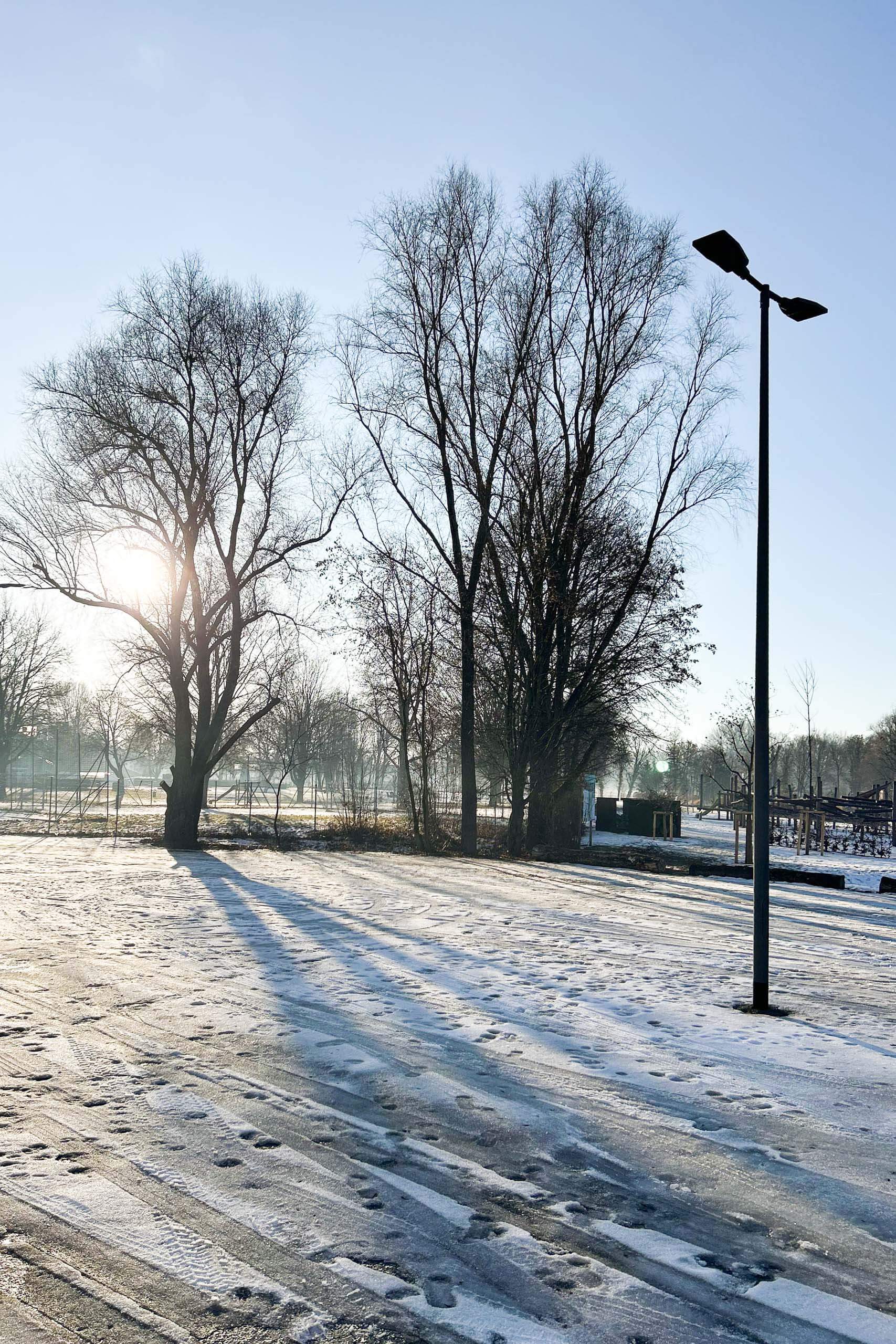 Winterliche Parklandschaft mit gefrorenem Boden, kahlen Bäumen und Straßenlaterne bei Sonnenaufgang