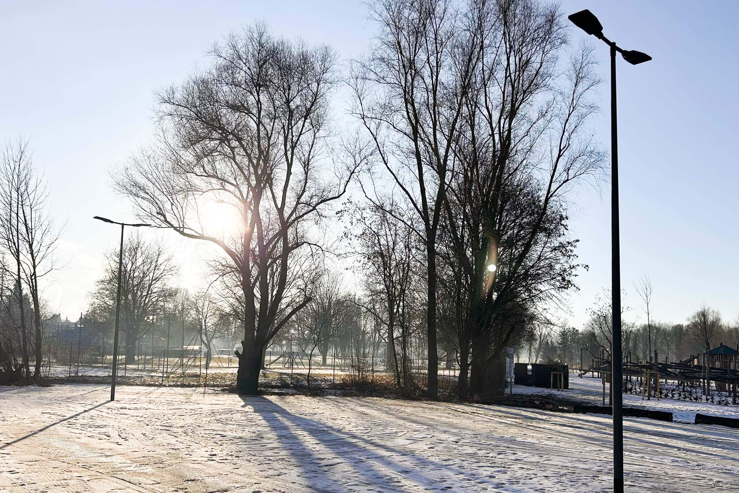 Straßenbeleuchtung im Morgennebel mit Raureif auf dem Boden und kahlen Bäumen