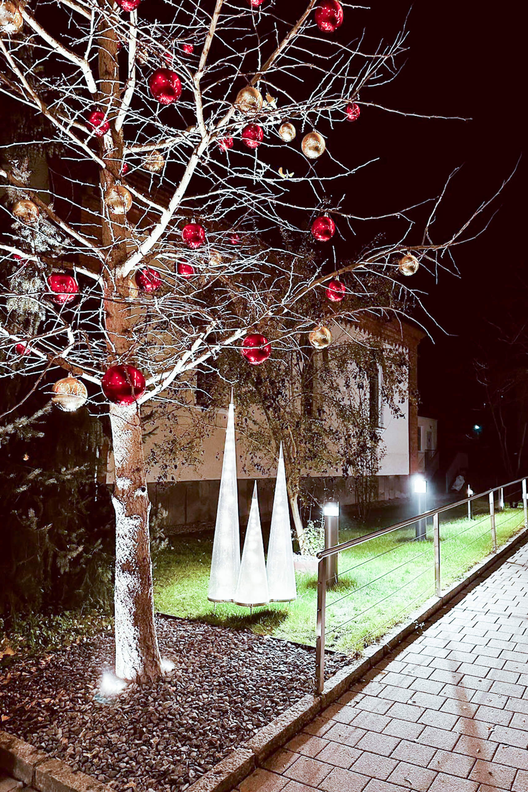 Weihnachtsbaum mit roten Kugeln beleuchtet in der Nacht vor einem Gebäude