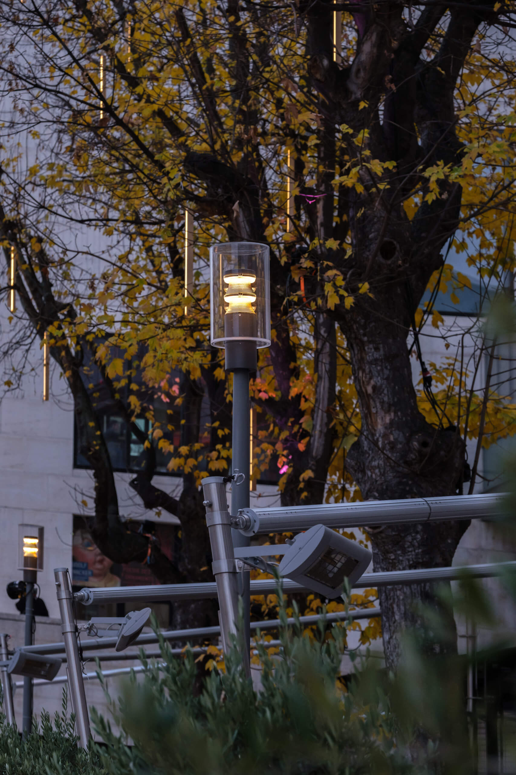 Illumina: Außenbeleuchtung mit modernen Leuchten und Baum im Abendlicht.
