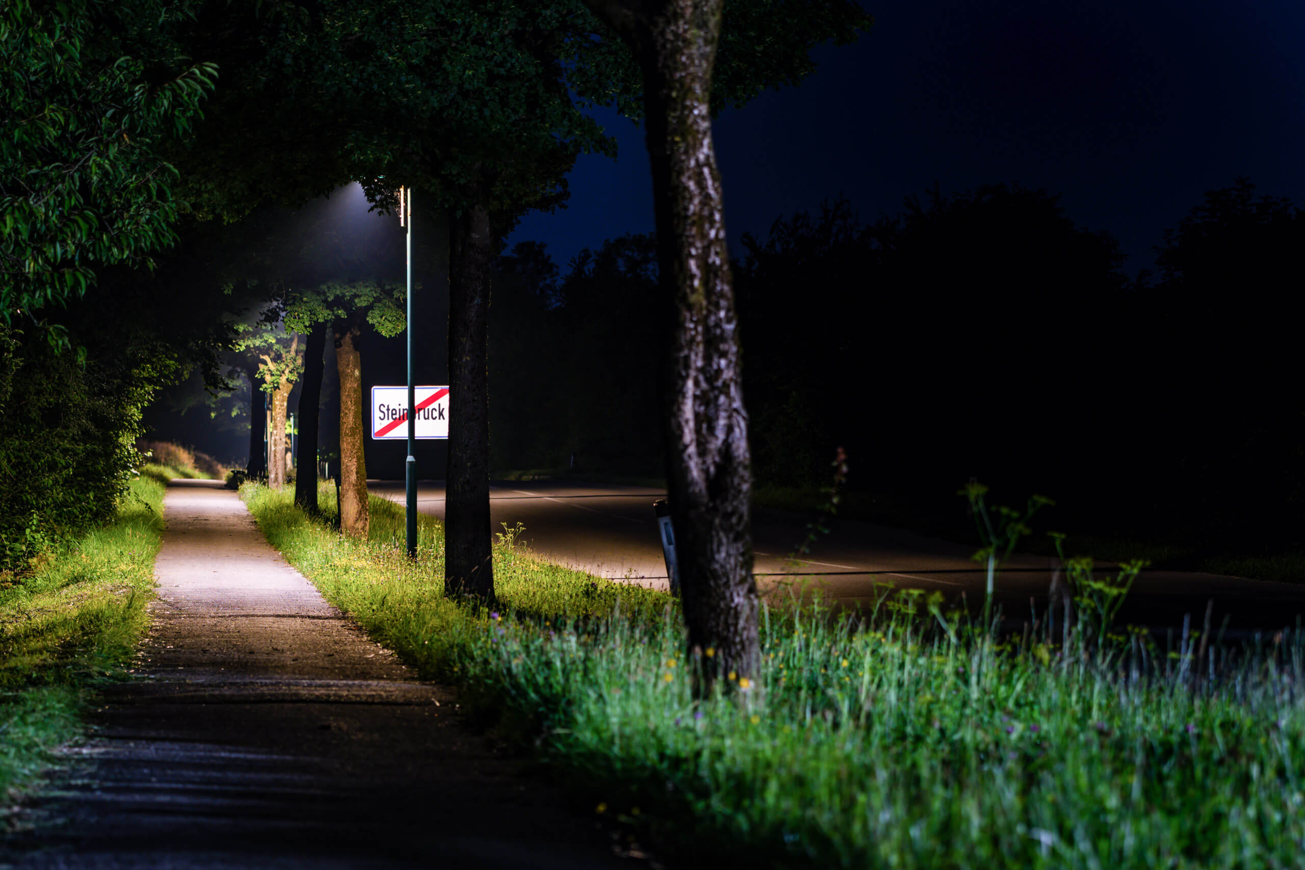 Straßenbeleuchtung im Nebel mit Ortsschild "Steinruck