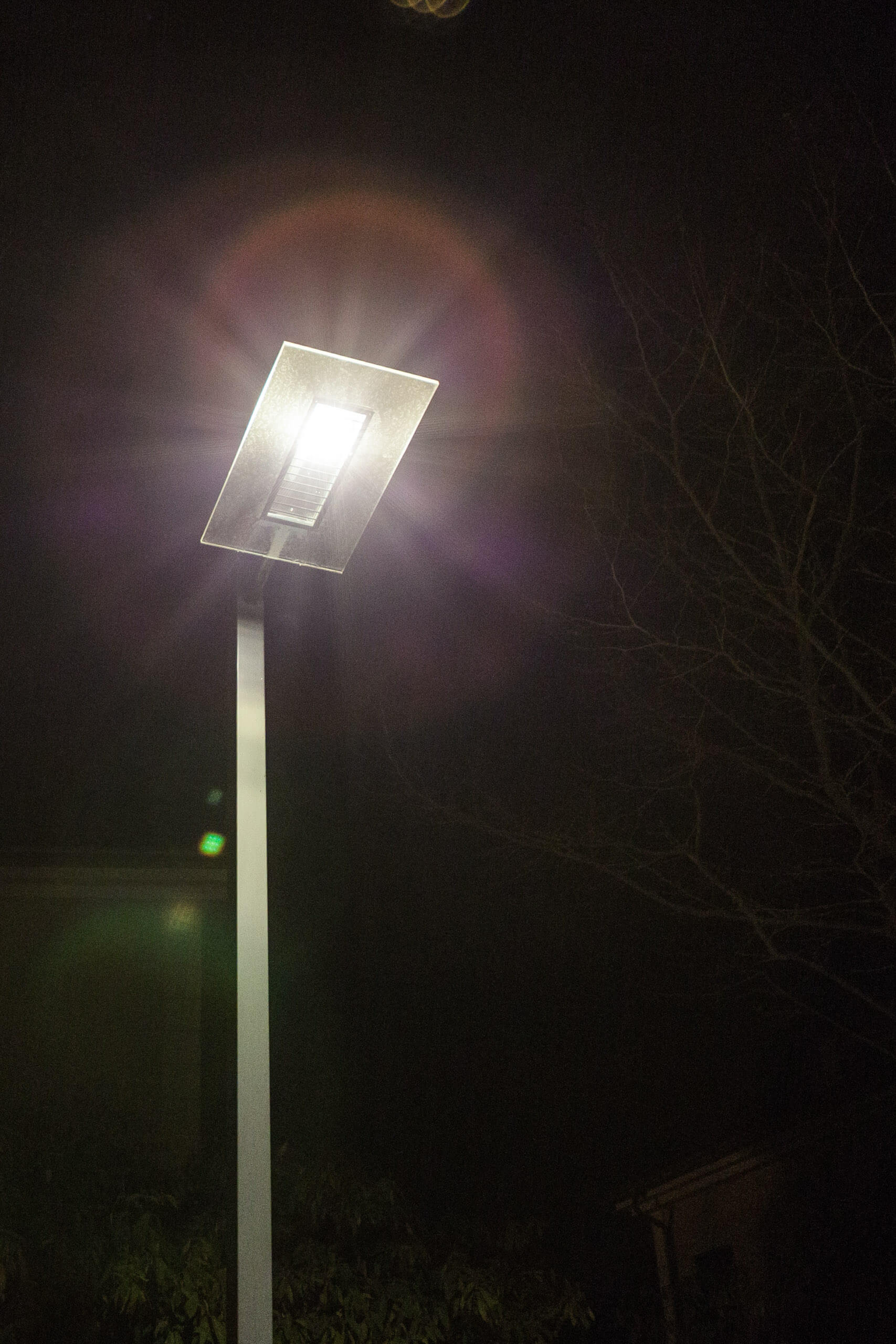 Moderne Außenleuchte mit hellem Lichtschein in der Nacht, umgeben von dunklen Bäumen.