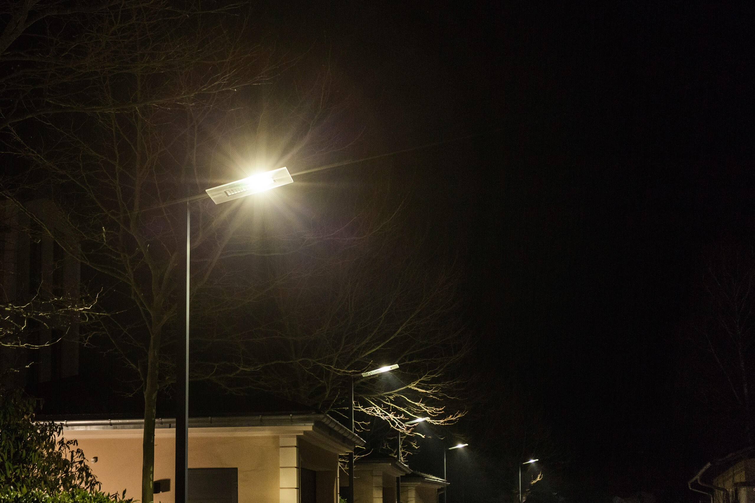Straßenlaternen beleuchten eine dunkle Nacht mit kahlen Bäumen und Gebäuden.