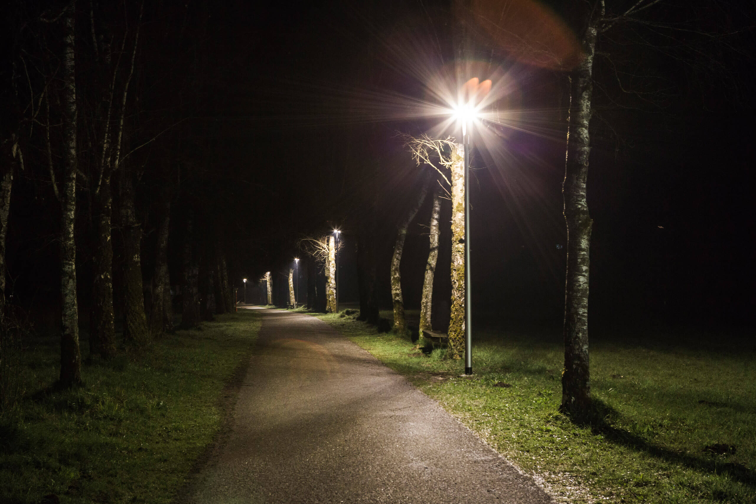 Beleuchteter Weg mit Bäumen und Laternen bei Nacht, Straßenbeleuchtung