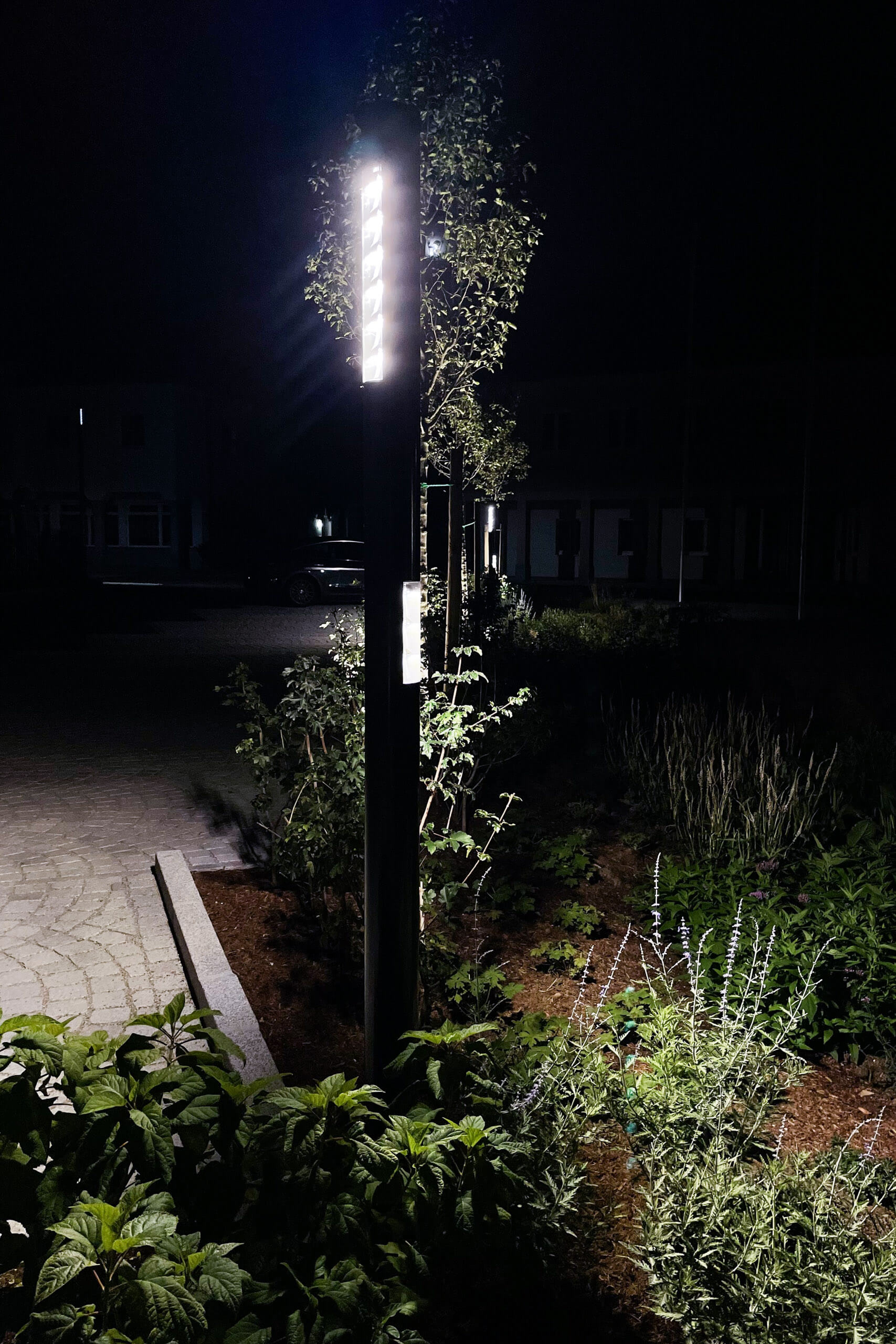 Moderne Außenbeleuchtung mit schlanken Leuchten und üppiger Bepflanzung bei Nacht.